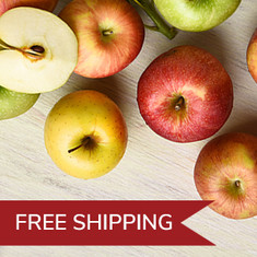 Free Shipping Fruit Baskets